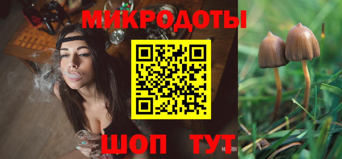Дмитров  Псилоцибиновые грибы мицелий  Галлюциногенные грибы Psilocybine cubensis  Вход с VPN 