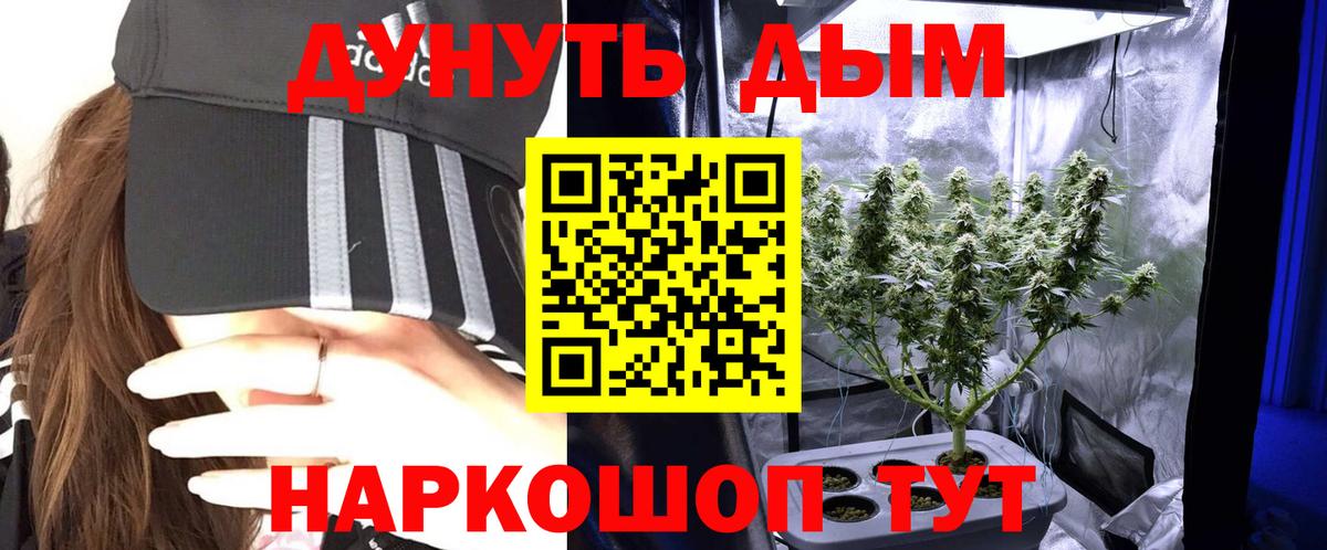 Дмитров  Конопля планчик  Бошки марихуана Amnesia  Канабис LSD WEED  Вход с VPN  МАРИХУАНА White Widow 